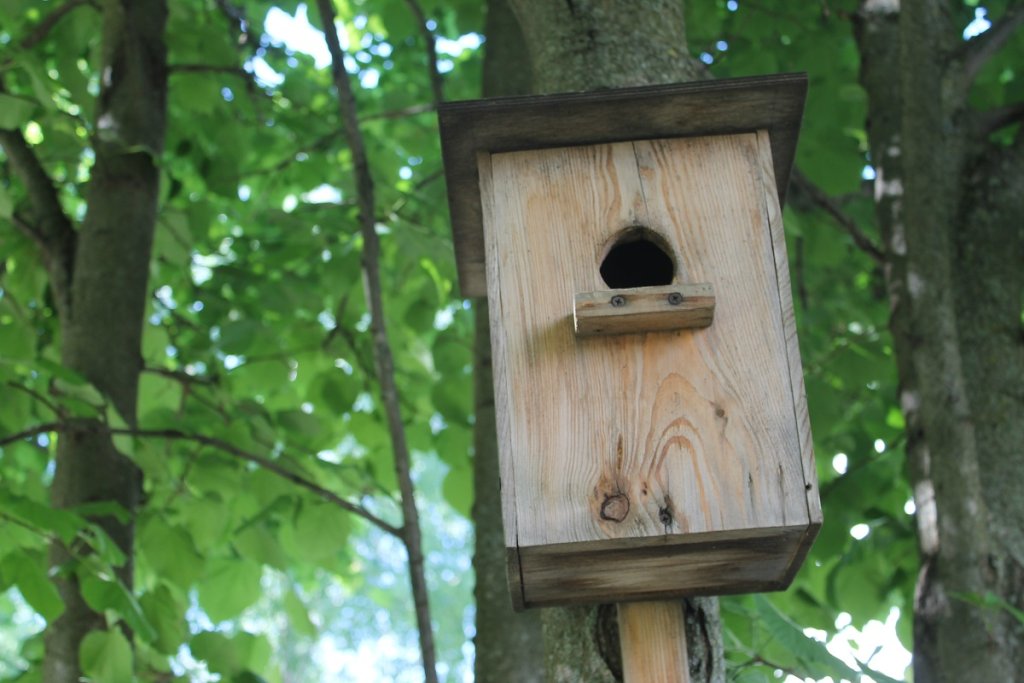 Nesting box for tufted-titmouse