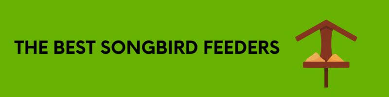 the best bird feeders