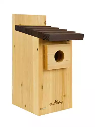 Wild Wings Cedar Blue Bird Box House