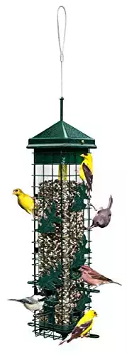 Brome Squirrel Solution200 Bird Feeder